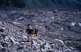 145 Pk-Cina 04 trek Nanga